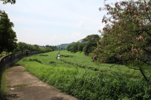 IMG_1022