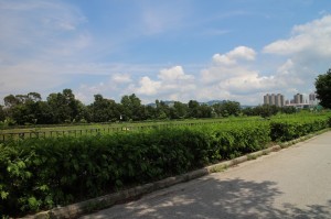 IMG_1049
