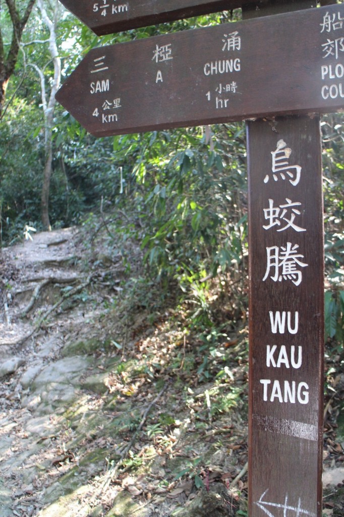 wu3