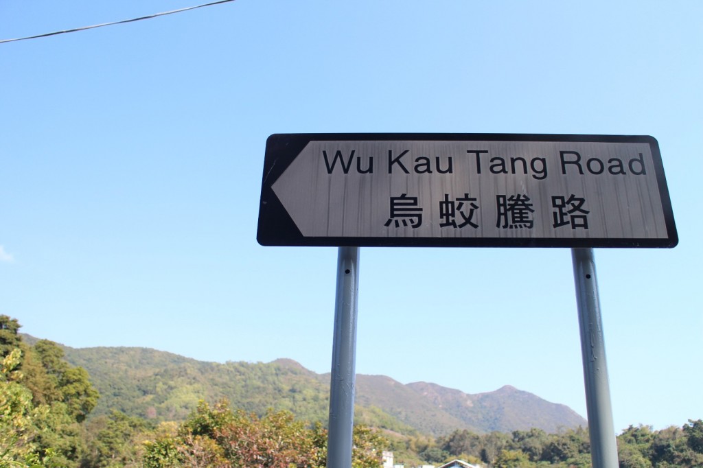 wu31