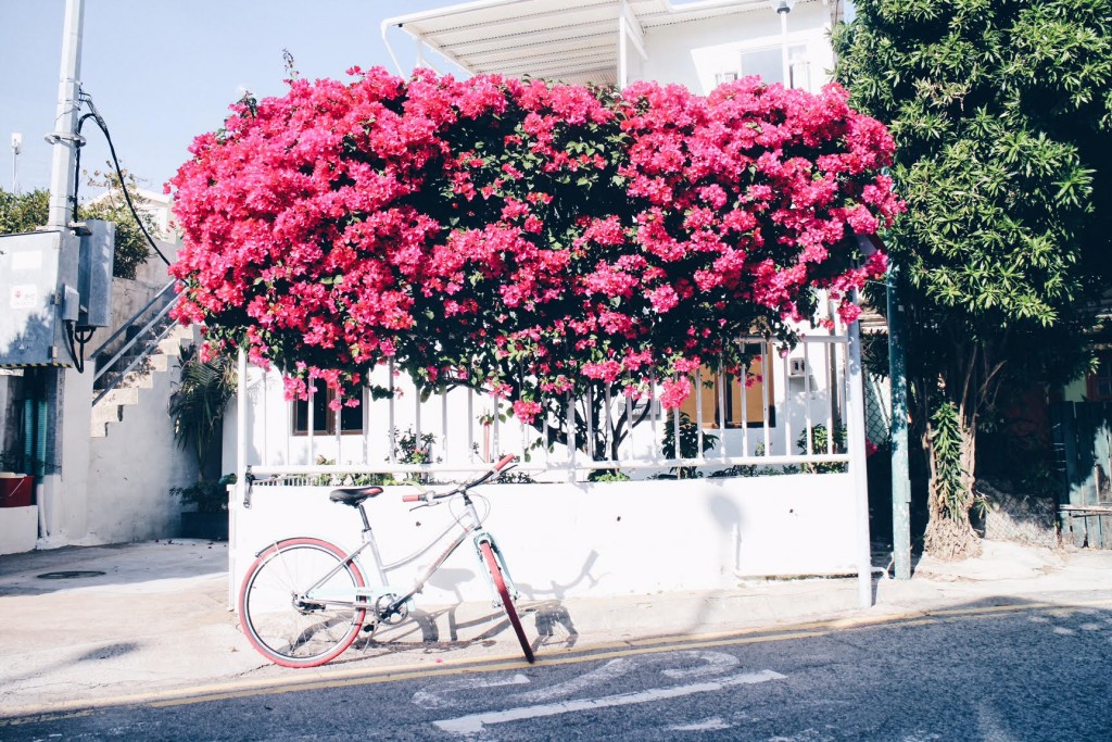 Processed with VSCO with hb1 preset