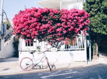 Processed with VSCO with hb1 preset
