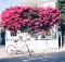 Processed with VSCO with hb1 preset