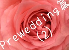 prewed03