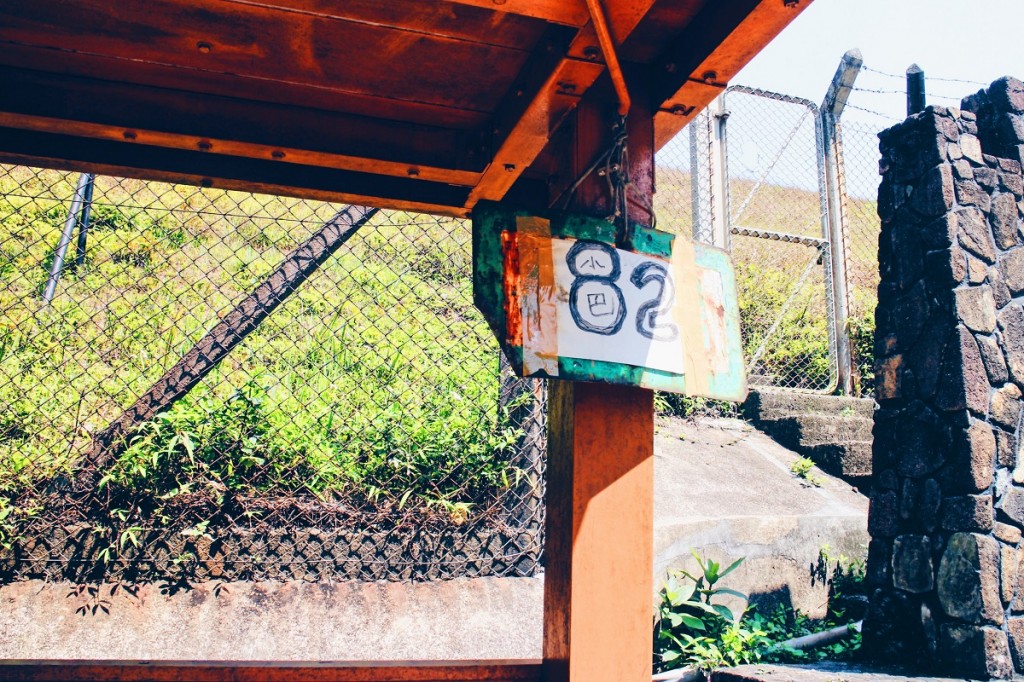 Processed with VSCO with hb1 preset