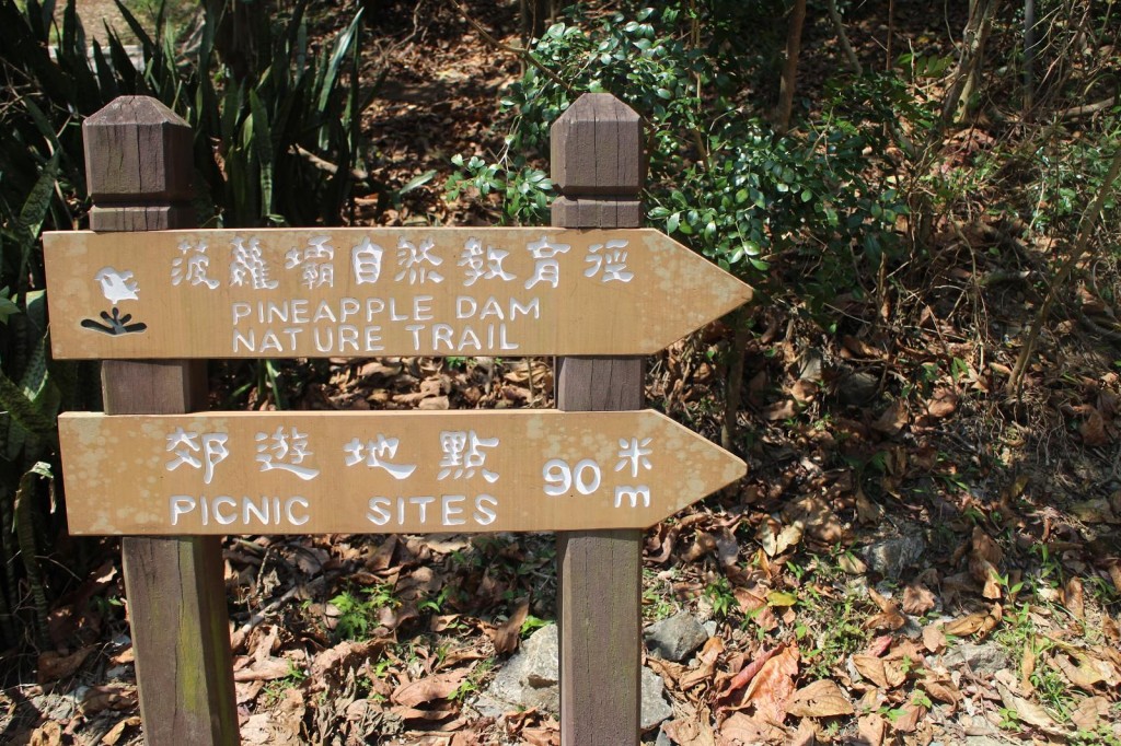 shingmun03