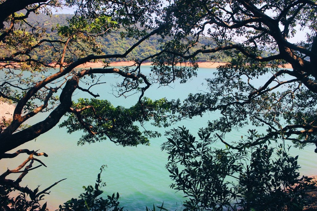 Processed with VSCO with hb1 preset
