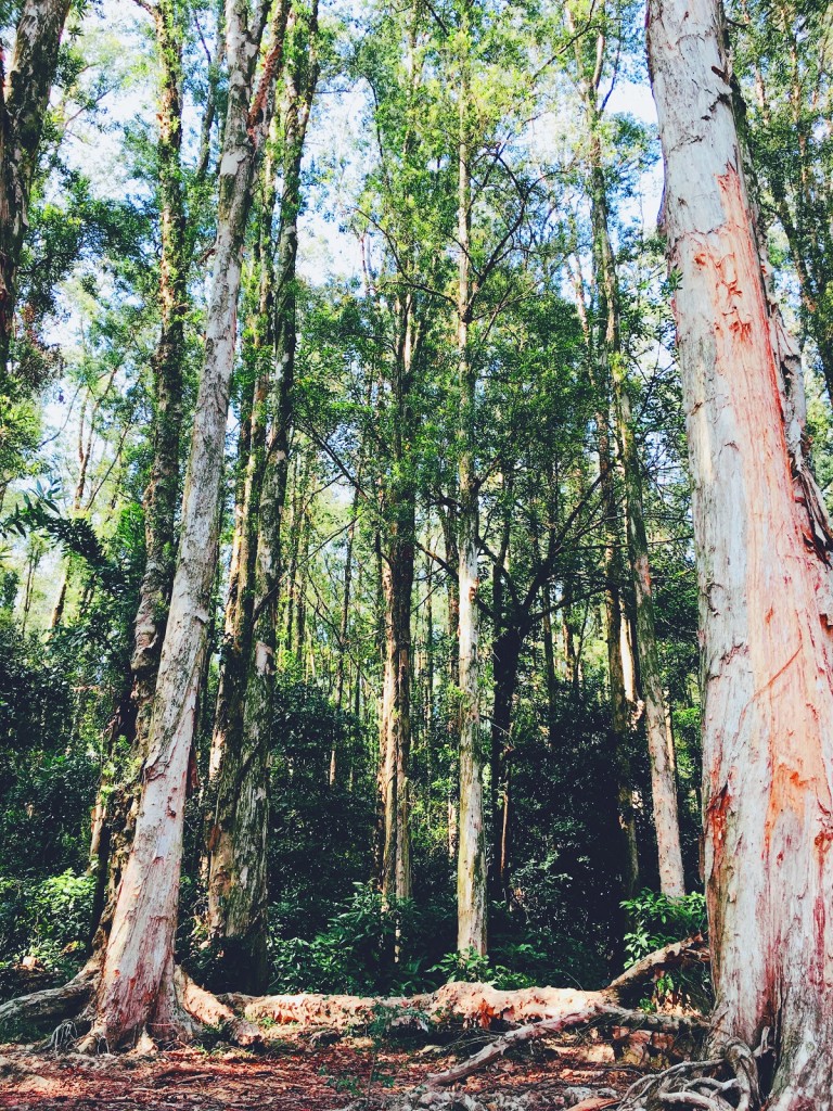 Processed with VSCO with f2 preset