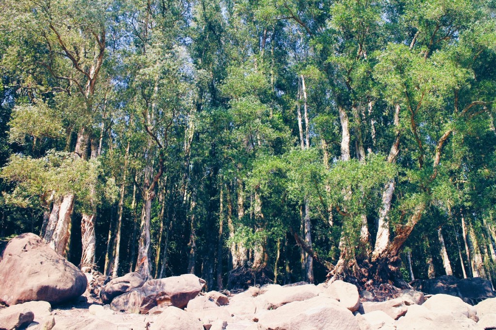 Processed with VSCO with hb1 preset