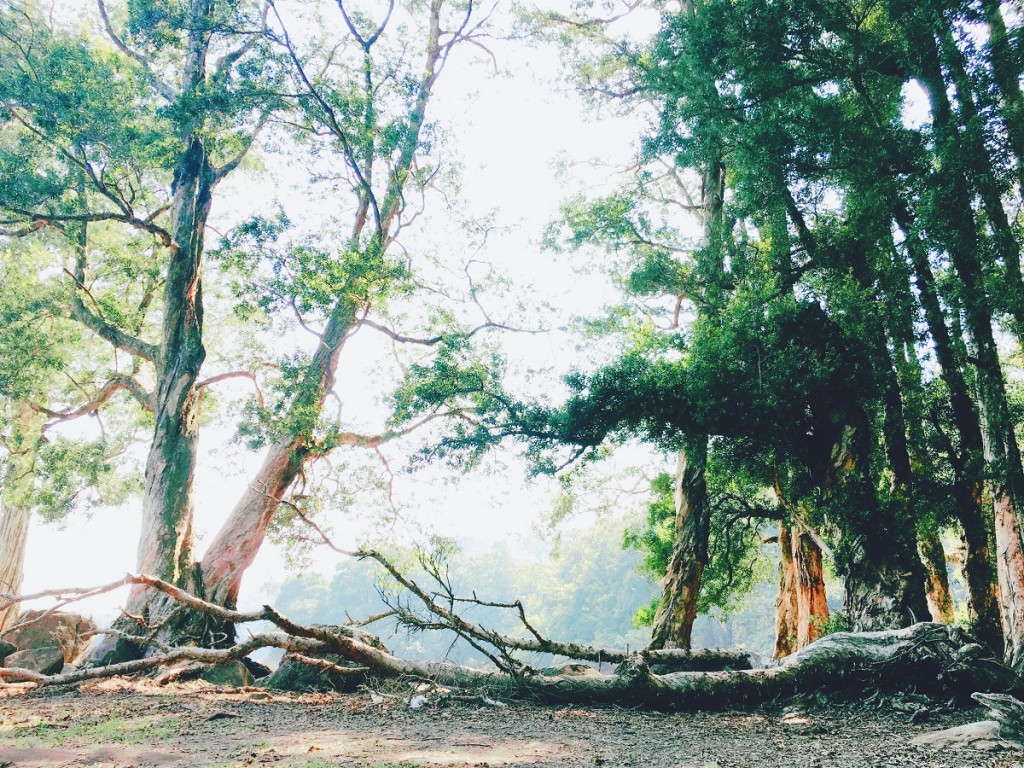 Processed with VSCO with f2 preset
