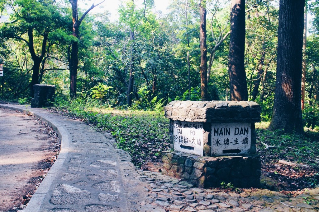 Processed with VSCO with hb1 preset