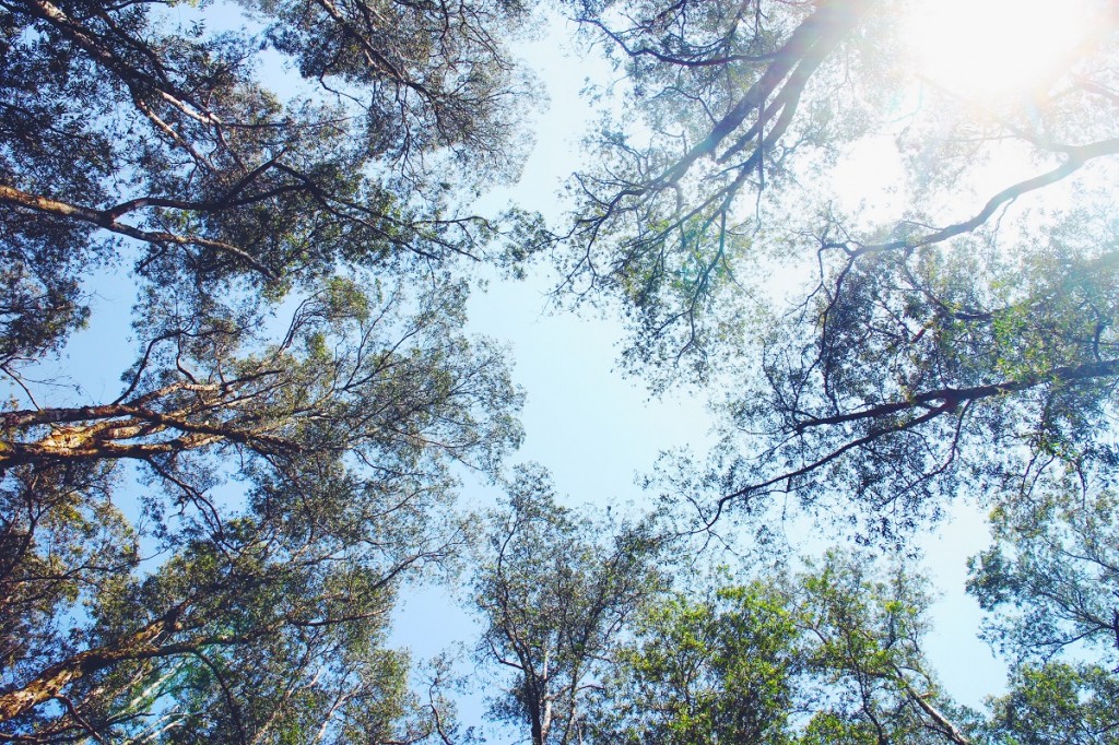 Processed with VSCO with f2 preset