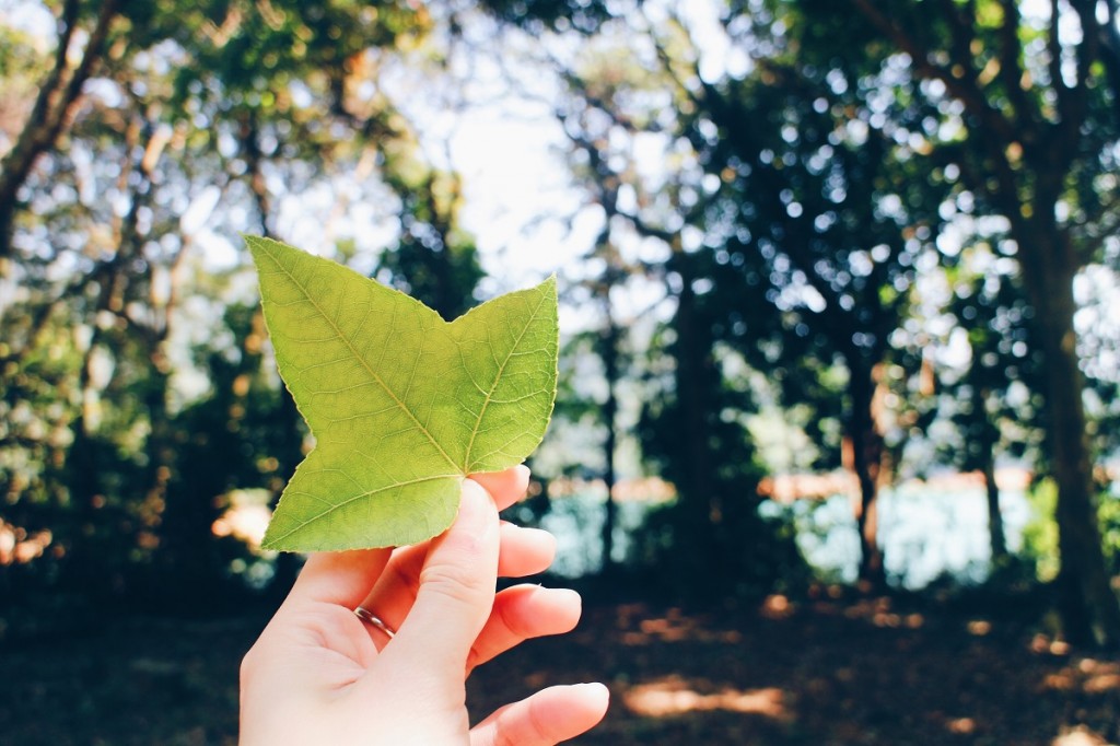 Processed with VSCO with hb1 preset