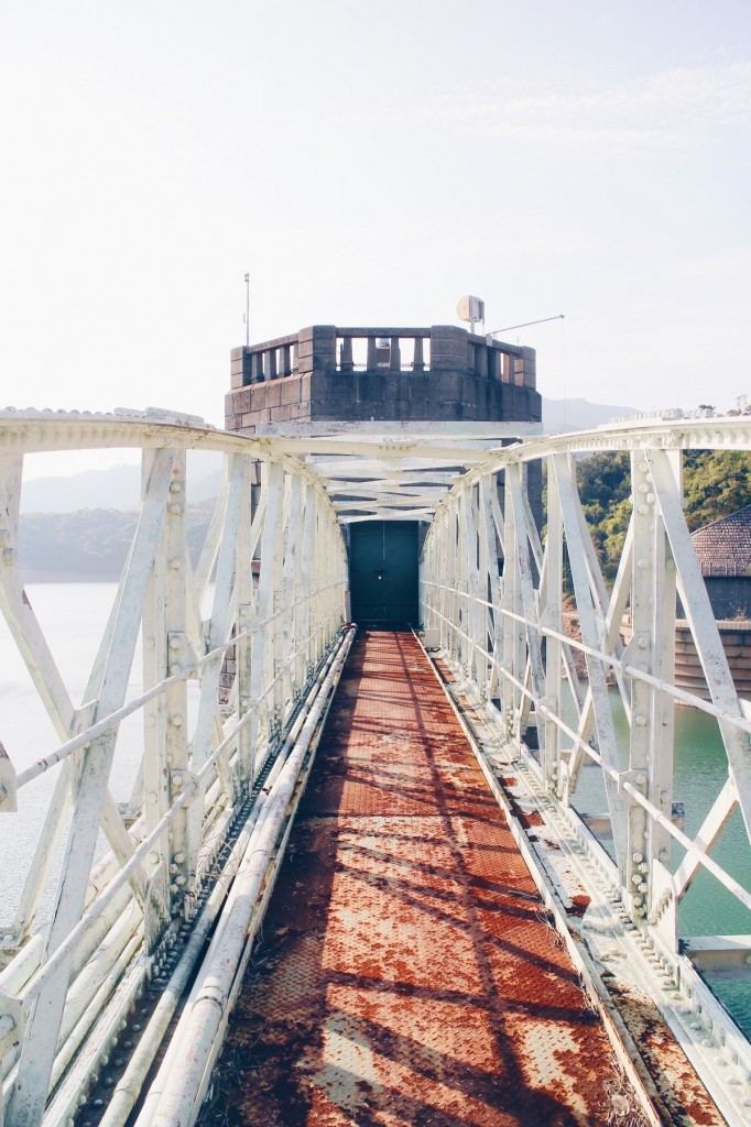 Processed with VSCO with hb1 preset