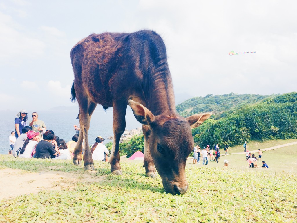 Processed with VSCO with hb1 preset