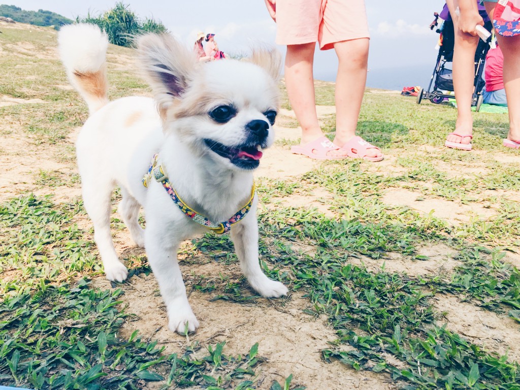 Processed with VSCO with hb1 preset