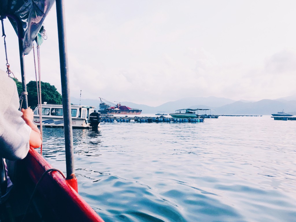 Processed with VSCO with hb1 preset