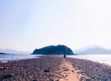 img_5019
