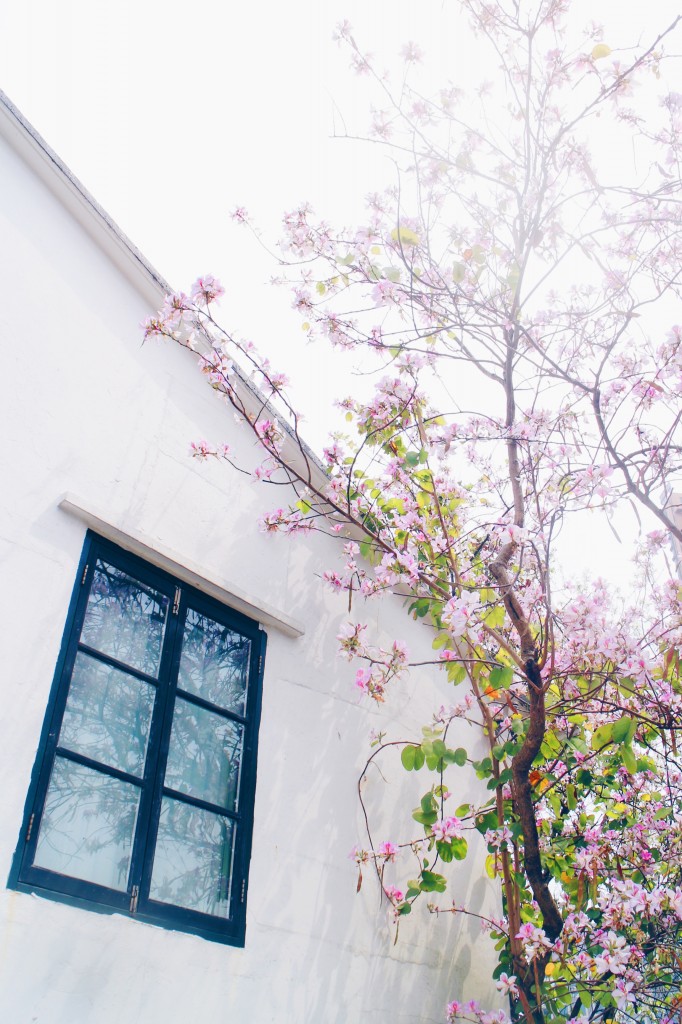 Processed with VSCO with hb1 preset