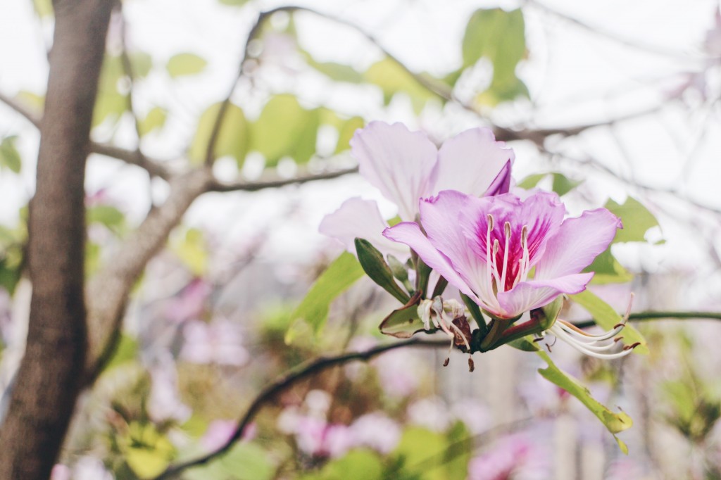 Processed with VSCO with hb1 preset