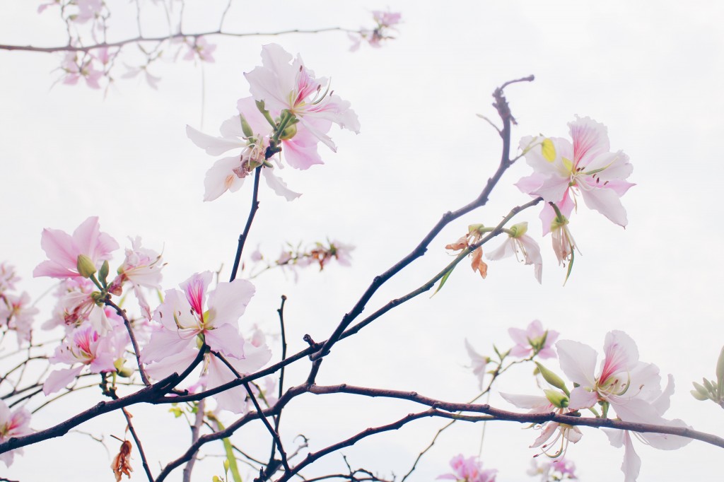 Processed with VSCO with hb1 preset
