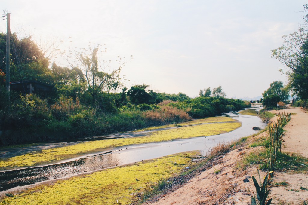 Processed with VSCO with hb2 preset