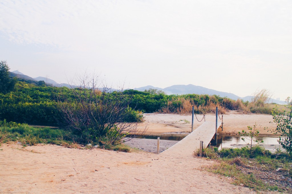 Processed with VSCO with hb1 preset