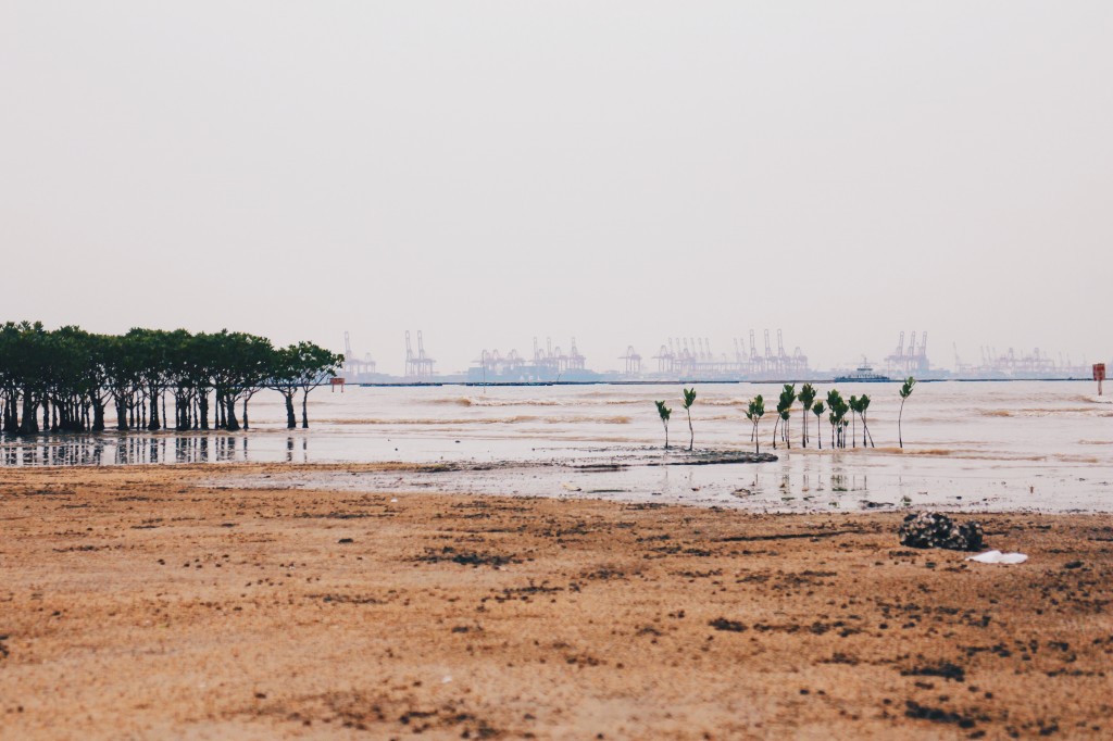 Processed with VSCO with hb2 preset