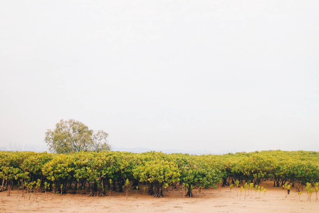 Processed with VSCO with hb2 preset