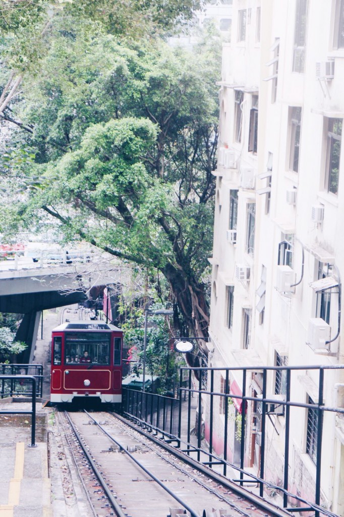 tram11