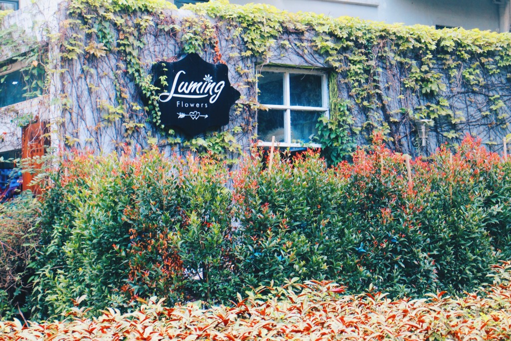 Processed with VSCO with hb2 preset