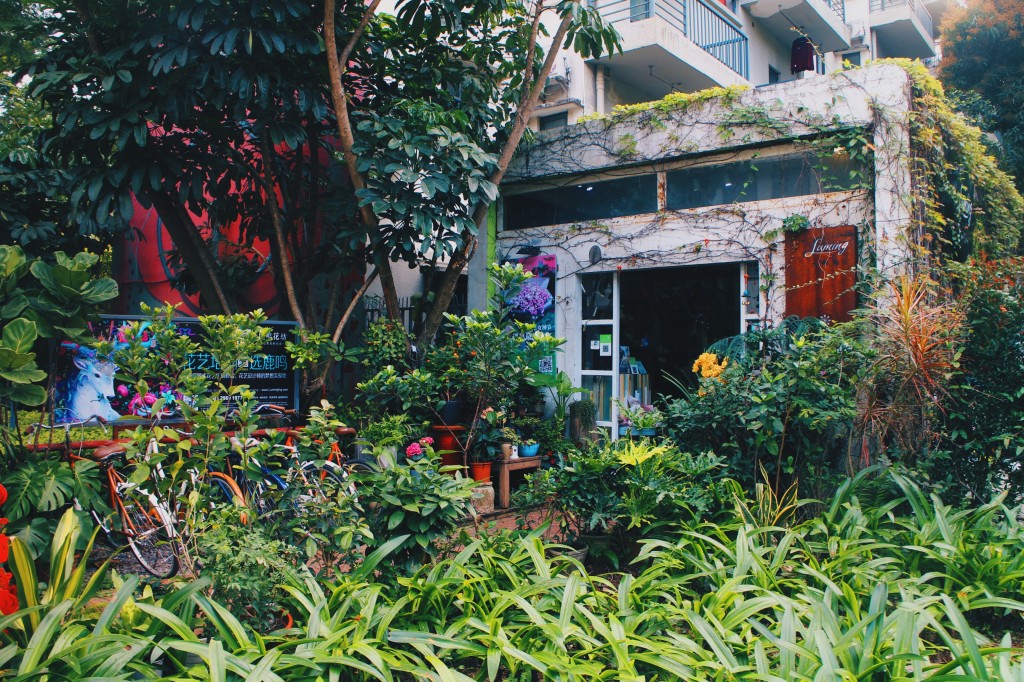 Processed with VSCO with hb2 preset