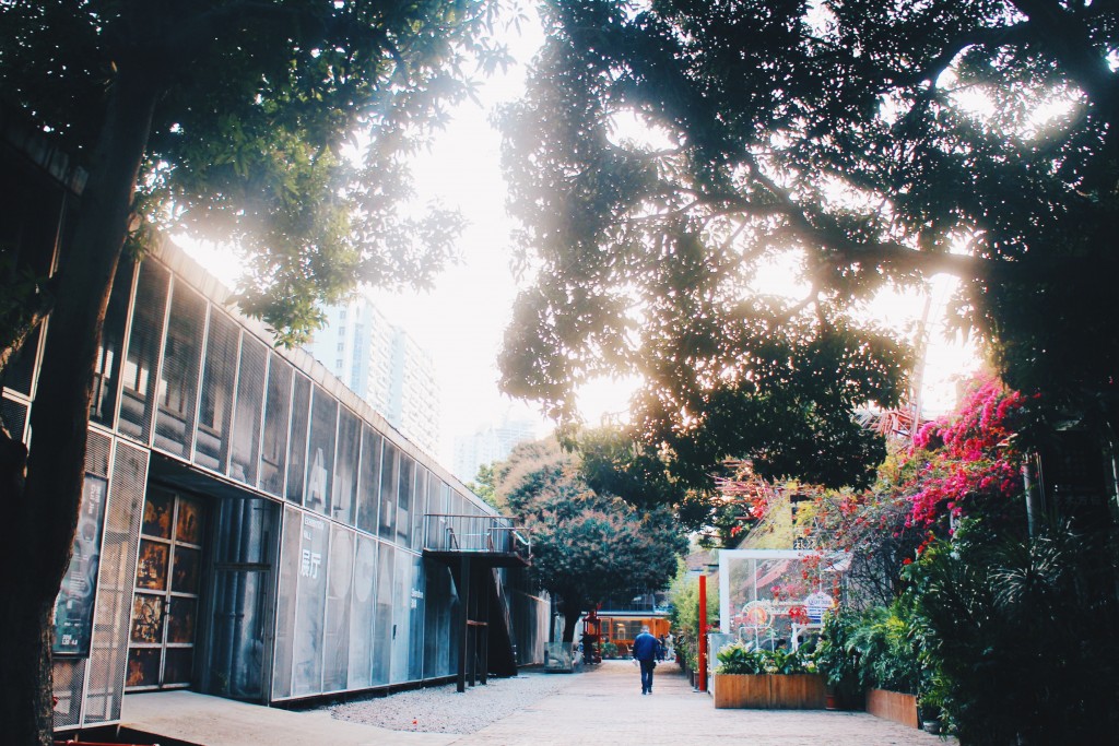 Processed with VSCO with hb2 preset