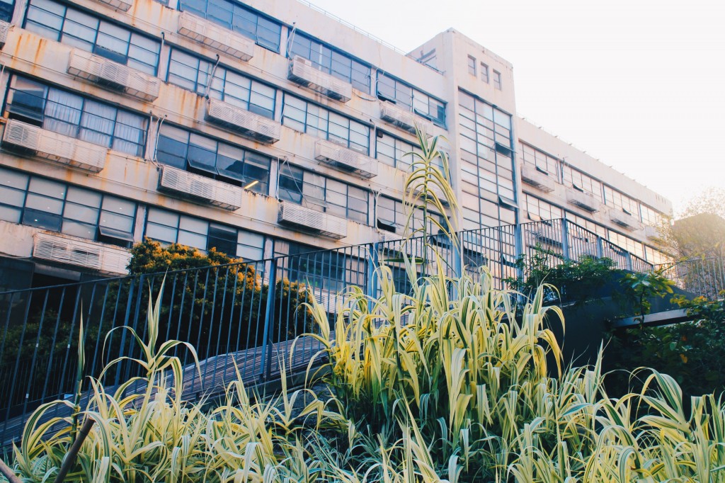 Processed with VSCO with hb2 preset