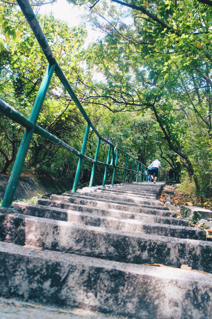 Processed with VSCO with hb2 preset