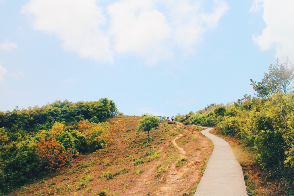 Processed with VSCO with hb2 preset