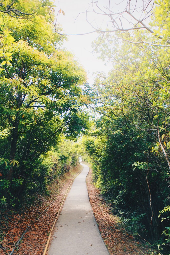 Processed with VSCO with hb2 preset