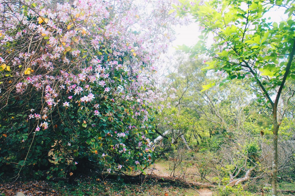 Processed with VSCO with hb2 preset