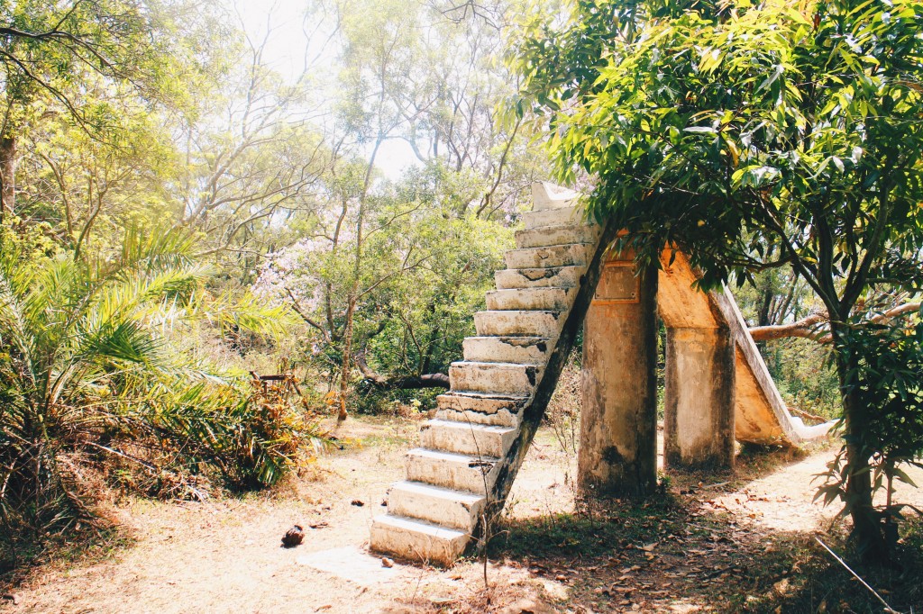 Processed with VSCO with hb2 preset