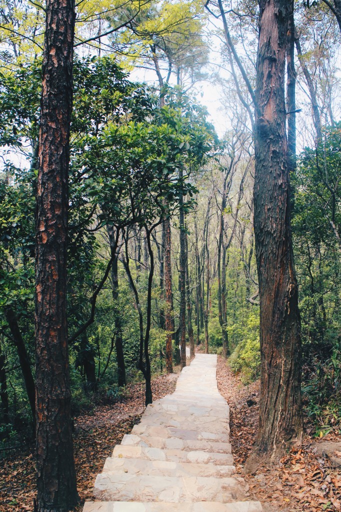 Processed with VSCO with hb2 preset