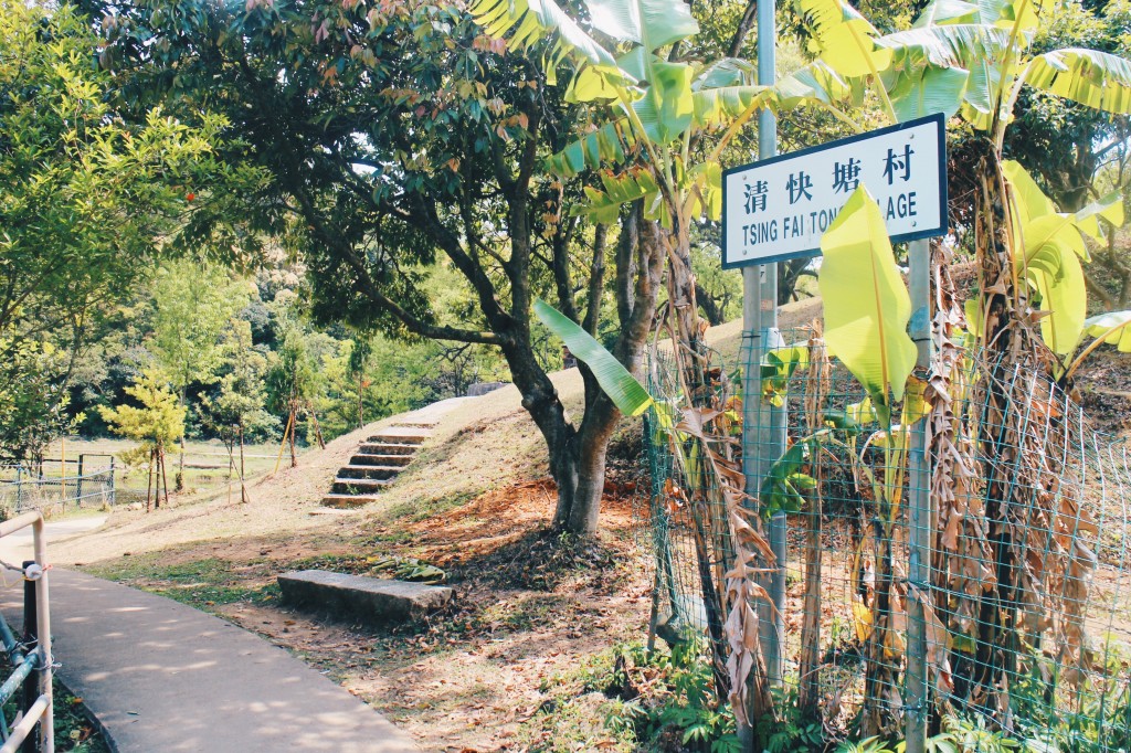 Processed with VSCO with hb2 preset