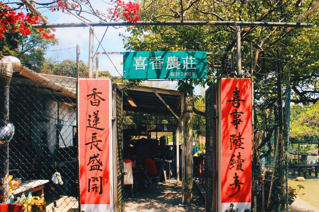 Processed with VSCO with hb2 preset