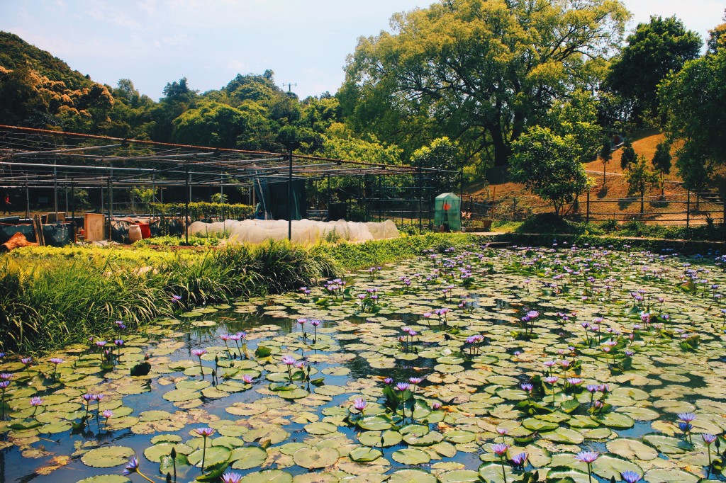 Processed with VSCO with hb2 preset