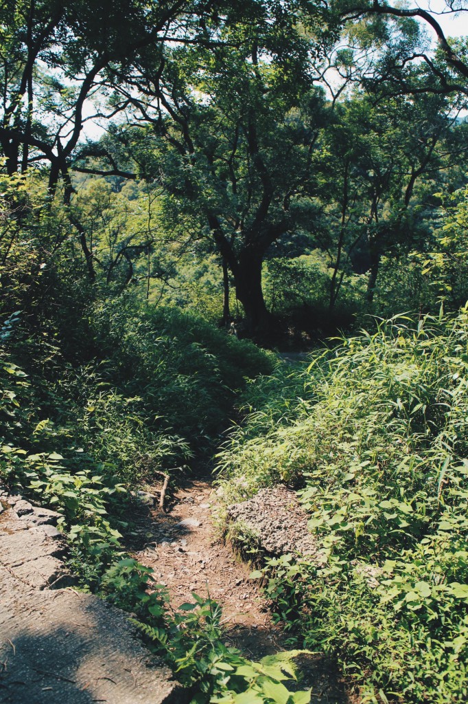 Processed with VSCO with hb2 preset