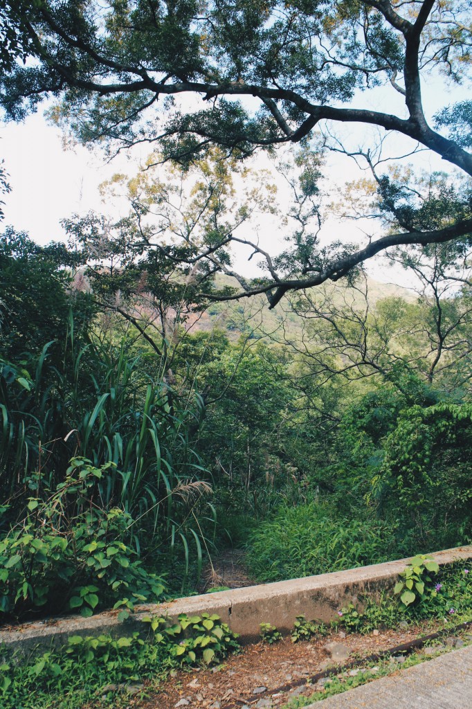 Processed with VSCO with hb2 preset