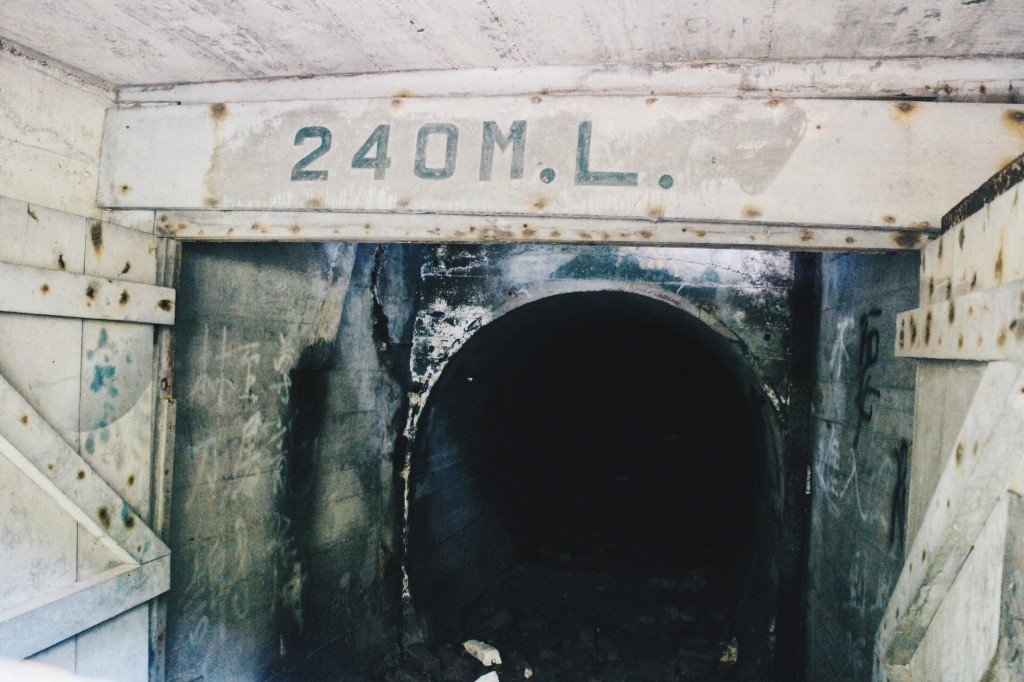 Processed with VSCO with hb2 preset